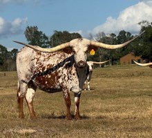 GW Sittin Ona Investment