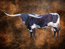 Semen - Bubba Tuff Chex - 14 Straws