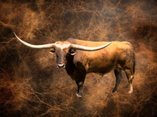 SEMEN-FORMAL ATTIRE-2 STRAWS