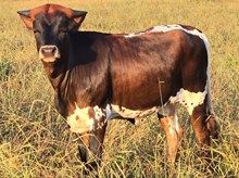 Easy Like Sunday Mornin